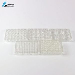 cell culture plate